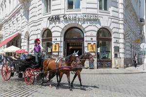 Horse carriage driving by Café Griensteidl in Vienna