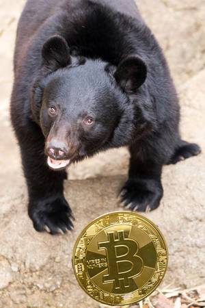 How long will the Bitcoin Bear Market last?