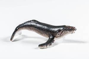 Humpback whale toy on white background