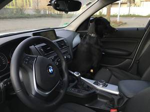 Hund in Auto