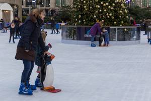 Ice Rink of Natural History Museum London