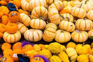 In Vorbereitung auf Halloween: breites Sortiment an Kürbissen im Supermarkt