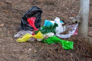 Incorrectly disposed plastic bags pollute the forest floor
