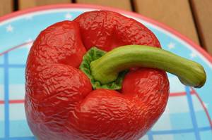 Inedible red pepper