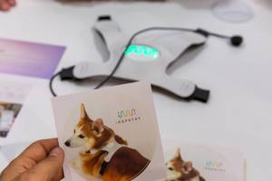 Inupathy dog sticker with smart lightning dog harness