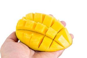 Isolierte Mango-Igel-Frucht, in einer Hand vor hellem Hintergrund
