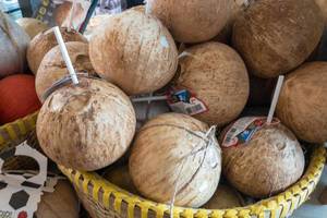 Junge Kokosnüsse mit Trinkhalmen am Danilovsky Market in Moskau