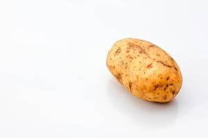 Kartoffel vor weißem Hintergrund