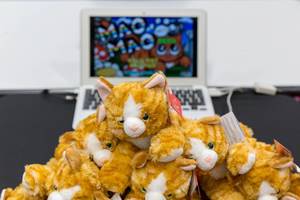 Katzen Stofftiere vor einem Laptop