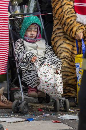Kind im Kinderwagen mit Tigerstreifen und passender Gesichtsbemalung - Kölner Karneval 2018