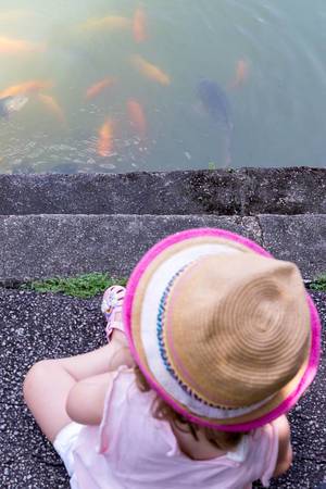 Kind vor Fischbecken