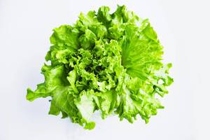 Knackig grüner Blattsalat in der Nahansicht