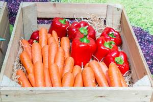Knackige Möhren und reife Paprika in einer Holzkiste wie vom Bauern am Miele Messestand mit BioFresh-Kühlschrank für längere Lebensmittel-Haltbarkeit