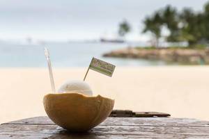 Kokosnuss-Eis am Strand