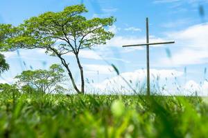Kreuz aus Holz auf einer großen Rasenfläche