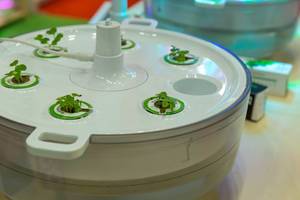 Küchengarten Plantui hydroponischer Indoor Smart Garden für Zuhause, mit Samenkapseln