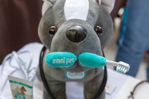 Kuscheltier mit einer Emmi Pet Ultraschallzahnbürste zur Zahnreinigung von Haustieren, bei der Hundemesse 2019 in Köln