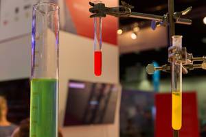 Laboratory & experiments: test tubes filled with coloured liquid