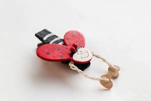 Ladybird Pinch, close up. Decorative object