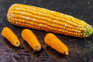 Large and small shakes of corn on black background (Flip 2019)