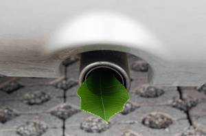 Leaf in a car pipe exhaust muffler