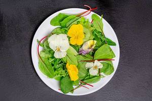 Leichter vegetarischer Salat aus essbaren Blättern und Blumen auf weißem Teller