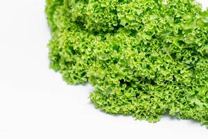 Lettuce salad leaves  Flip 2019