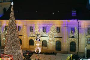 Lichtinstallation von weißen Tannen neben dem Hauptweihnachtsbaum