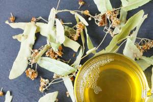 Linden tea of fresh flowers