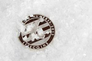 Litecoin Münze liegt im Schnee