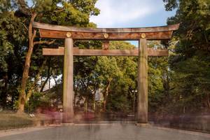 Long Exposure during the day: Torii in Yoyogi park