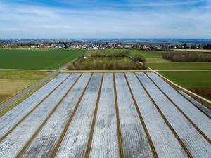 Luftbild von Feldern mit Spargel unter Folie