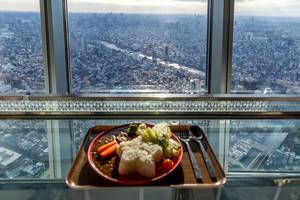 Lunch: Curry and view above Tokyo