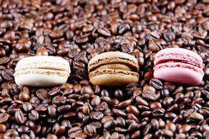 Macaron cakes in coffee beans background (Flip 2019)