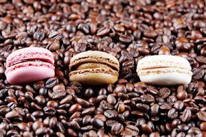Macaron liegen in Kaffeebohnen