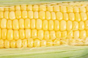 Macro image of Young Corn seeds