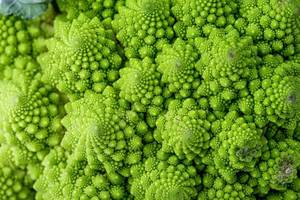 Macro photo of fresh green cabbage Romanesco (Flip 2020)