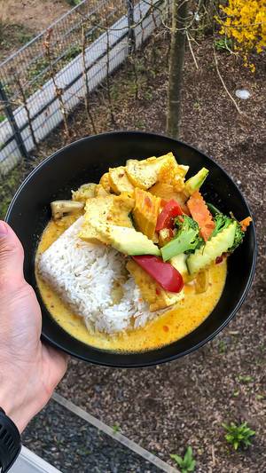 Man holds a black plate of vegan red curry with rice