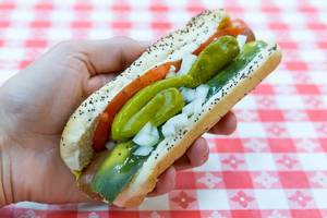 Man holds a Chicago Red Hot Dog in a poppy seed roll