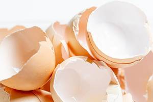 Many broken eggshell on white background (Flip 2020)