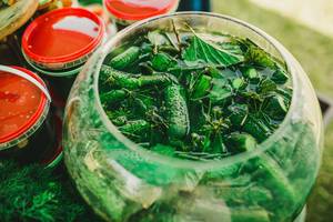 Marinated Pickled Cucumber On Glass Bottle