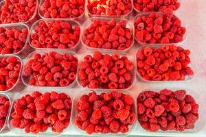 Marketplace Ljubljana, Slovenia - raspberries in plastic contain