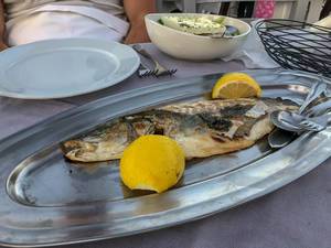 Mediterranes Mittagessen mit ganzem Fisch und Zitronenhälften, auf einem ovalen Teller im griechischen Restaurant Tarsanas auf Spetses