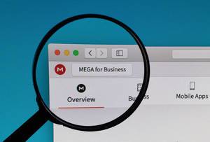 MEGA logo under magnifying glass