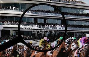 Melbourne Cup Carnival website on a computer screen with a magnifying glass
