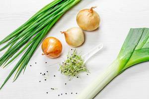 Micro greens, young onions, bulbs and leeks on white wooden background (Flip 2019)