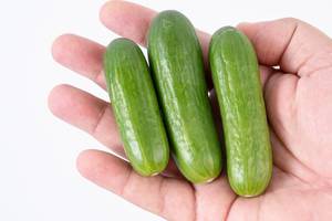 Mini Cucumber on the hand above white background (Flip 2019)