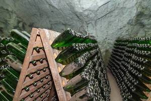 Mit Staub überzogene Champagnerflaschen bei der Alterung in speziellen Holzregalen in einem Gewölbekeller