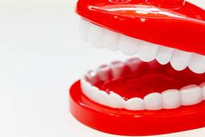 Modeling tooth and gum toys on a white background (Flip 2019)