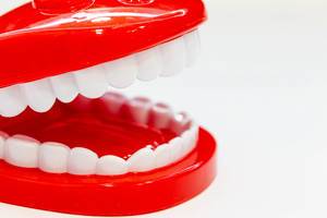 Modeling tooth and gum toys on a white background